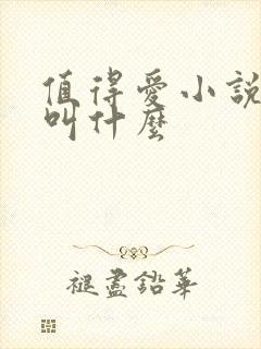 值得爱小说原著叫什么封面