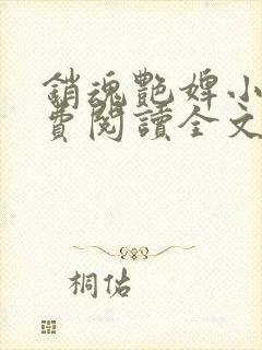 销魂艳婢小说免费阅读全文封面