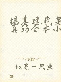 搞基建,我是认真的全本小说txt下载