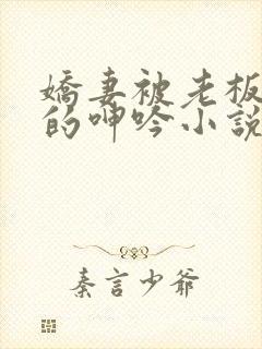 娇妻被老板蹂躏的呻吟小说