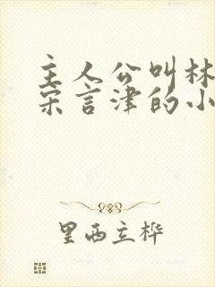 主人公叫林清妍宋言津的小说