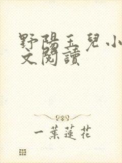 野阳玉儿小说全文阅读