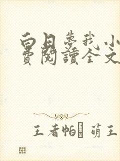 白日梦我小说免费阅读全文无删减封面