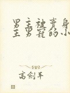 男主被卖身做女主男宠的小说封面