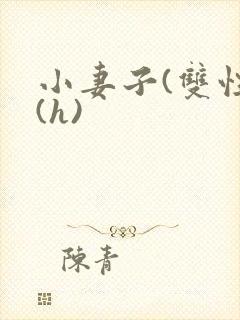 小妻子(双性)(h)