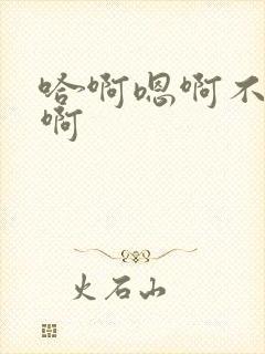 哈啊嗯啊不要嗯啊封面