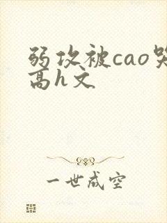 弱攻被cao哭高h文