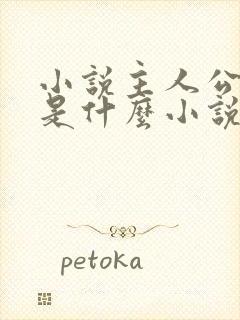 小说主人公叶玄是什么小说名