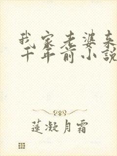 我家老婆来自一千年前小说笔趣阁封面