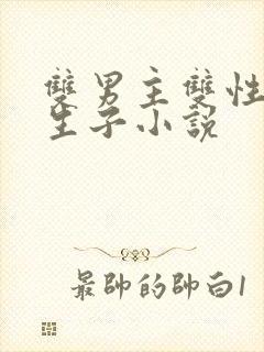 双男主双性美人生子小说