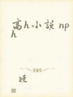 高h小说 nph