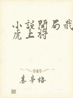 小说开局截胡五虎上将