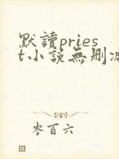 默读priest小说无删减正版在线阅读