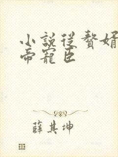 小说从赘婿到女帝宠臣