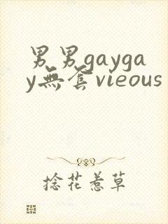 男男gaygay无套vieous封面