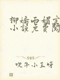 柳娇雨媚完结版小说免费阅读