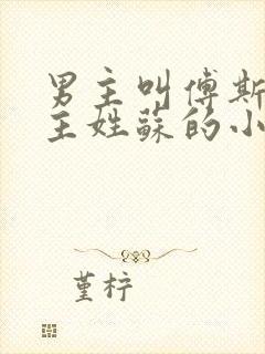 男主叫傅斯年女主姓苏的小说封面