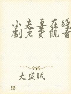 小夫妻在线电视剧免费观看全集