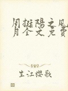 周挺阳之风流岁月全文免费阅读全文封面