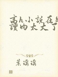 高h小说在线阅读肉太大了高h封面