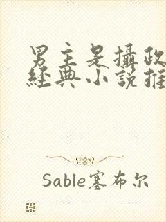 男主是摄政王的经典小说推荐封面