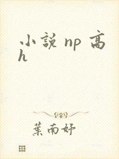 小说 np 高h