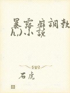 暴露癖调教(高h,)小说