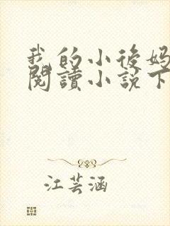 我的小后妈免费阅读小说下载