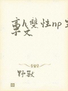 高h双性np生子文