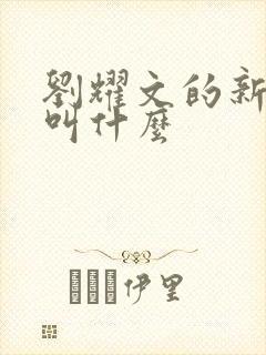 刘耀文的新综艺叫什么封面