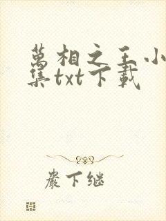 万相之王小说全集txt下载