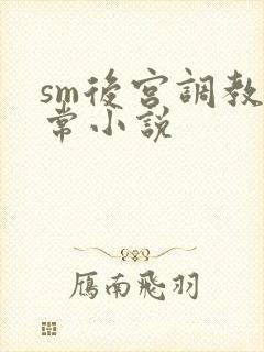 sm后宫调教日常小说