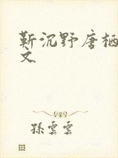 靳沉野唐栖雾全文