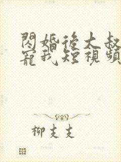 闪婚后大叔每天宠我短视频