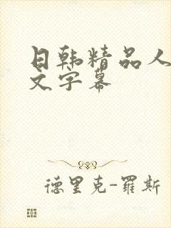 日韩精品人妻中文字幕