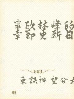 宁欣林峰的最新章节更新日期