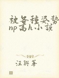 被各种姿势玩弄np高h小说