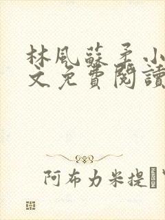 林风苏柔小说全文免费阅读