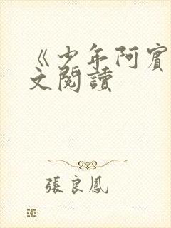 《少年阿宾》全文阅读