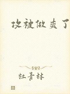 攻被做爽了封面