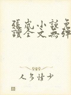 张岚小说免费阅读全文无弹窗