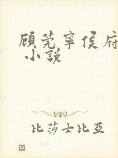 顾莞宁侯府嫡女 小说
