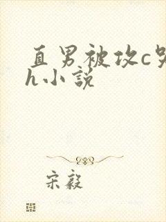 直男被攻c哭高h小说