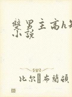 双男主高h短篇小说