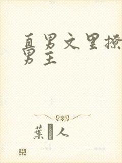 直男文里撩言情男主