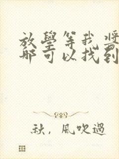 放学等我酱子贝哪可以找到封面