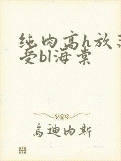 纯肉高h放荡诱受bl海棠封面