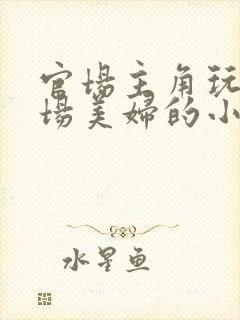 官场主角玩遍官场美妇的小说主角长