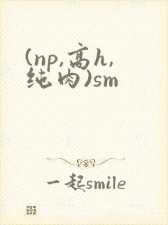 (np,高h,纯肉)sm