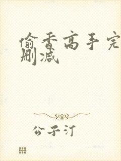 偷香高手完整无删减